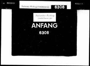 Reinigung der Kamine