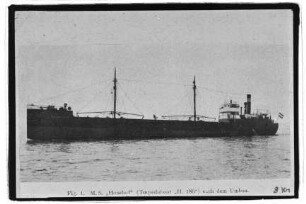 Hoisdorf (1921), Baltische Reederei, Hamburg