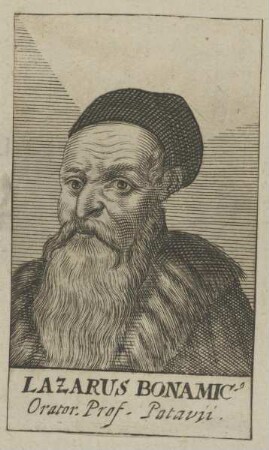 Bildnis des Lazarus Bonamicus