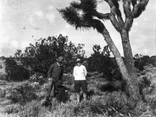 Vegetation nördlich von San Bernadino : Eine Gruppe von Personen neben einer Kaktee