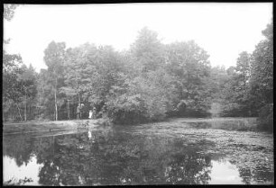 Kötzschenbroda. Schwarzes Teich