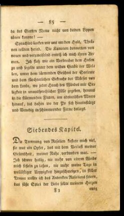 Siebendes Kapitel.