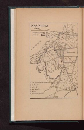 Nes Ziona