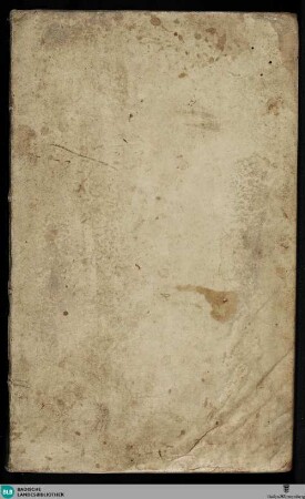 Chronik von Schaffhausen - Cod. St. Blasien 45