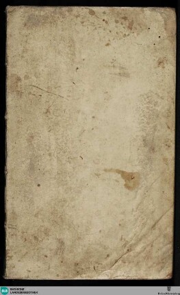 Chronik von Schaffhausen - Cod. St. Blasien 45