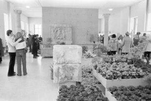 Karlsruher Blumenschau "Frühling ´78" im Badischen Landesmuseum