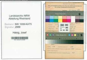 Entnazifizierung Josef Halsig , geb. 01.04.1900 (Ingenieur)