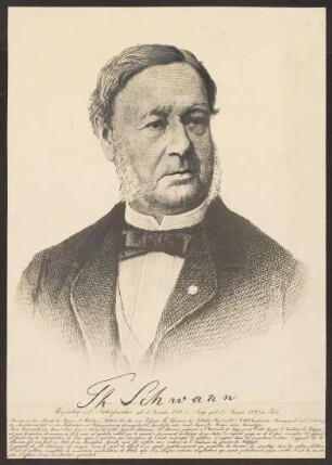 Schwann, Theodor