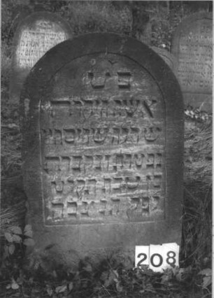 Grabstein 208