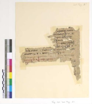 2nd Sunday of Tût. Evening. Lk. IV, 40 - 41; 2nd Sunday of Tût. Matins. (Only the title remains)