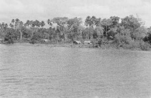 Reisefotos Brasilien. Blick vom Passagierschiff auf ein bewaldetes Ufer mit Hütten