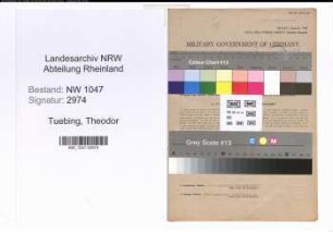 Entnazifizierung Theodor Tuebing , geb. 31.10.1896 (Angestellter)