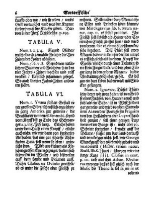 Tabula VI.
