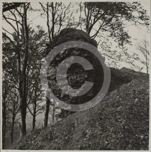 "Der Hummel" bei Bad Reinerz