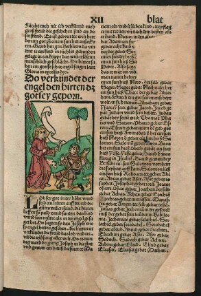 Do verkündet der engel den hirten dz got sey geporn.