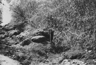 Konglomeratfelsen am Weg von Chumo nach Mingumbi : Landschaft mit Felsen