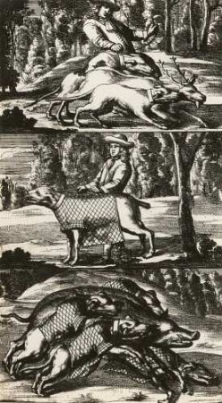 Technikgeschichte | Forstwirtschaft, Jagdwesen | Jagdwesen | Jagdmethoden | Hatz, Parforcejagd