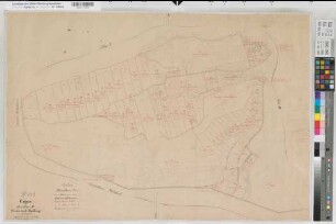 Helminghausen (Marsberg), Teilung der Feldmark Helminghausen, Brouillonkarte Padberg Flur 2