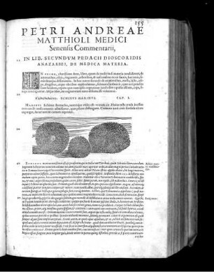 Petri Andreae Matthioli Medici Senensis Commentarii, In Lib. Secundum Pedacii Dioscoridis Anazarbei, De Medica Materia