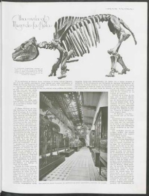 Una visita al Museo de la Plata