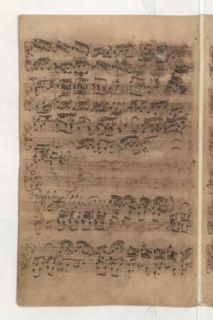 Präludien und Fugen; cemb; g-Moll; BWV 861