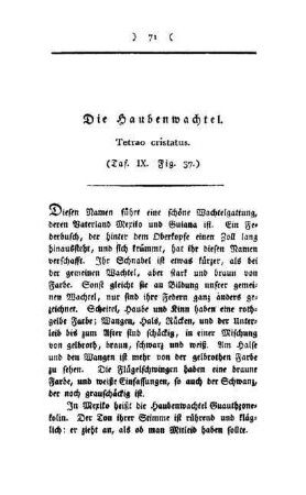 ¬Die¬ Haubenwachtel : Tetrao cristatus ; (Taf. IX, Fig. 37)
