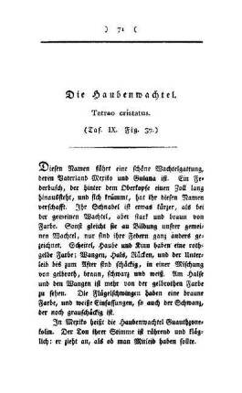¬Die¬ Haubenwachtel : Tetrao cristatus ; (Taf. IX, Fig. 37)