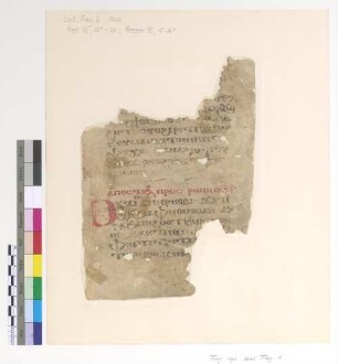 [Lectionary] : Fragm. copt. Pischoi Lect. Frag. 6