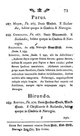 Hirundo