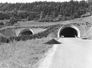 Schönbuchtunnel, km 607,724 - 608,350 Südportal