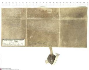 Reinhard von Haun (Hune) bekundet für sich und seine Ehefrau Hedwig (Hede), dass Johann [von Merlau], Abt von Fulda, die 200 Gulden, die dieser ih...