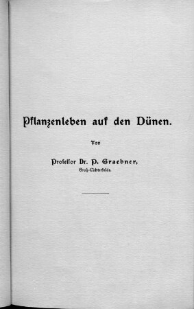 Pflanzenleben auf den Dünen.