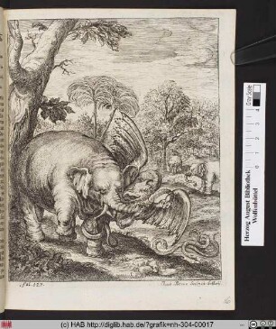 [Elefant kämpft mit einem Lindwurm].