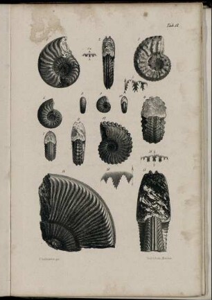 Fig. 1-16