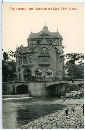 Aue. König Albert Brücke und das Muldental