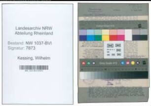 Entnazifizierung Wilhelm Kessing , geb. 05.11.1908 (Arzt)