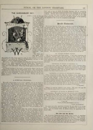 The Shrewsbury pet