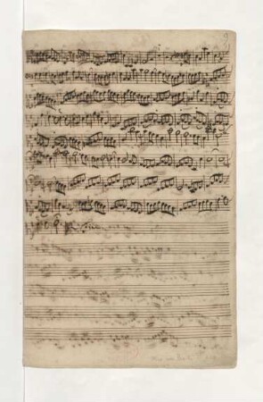 Viola da gamba