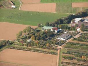 Limburg-Linter, Mainzer Straße