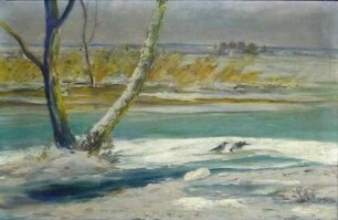 unbenannt [Winterlandschaft am Schwielowsee]