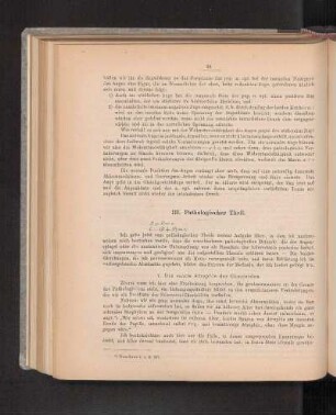 III. Pathologischer Theil.