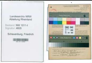 Entnazifizierung Friedrich Schauenburg , geb. 18.11.1902 (Metzgermeister)