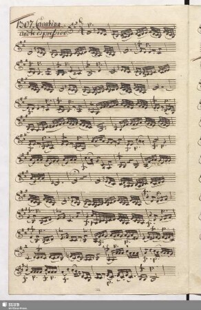 1307. Cavatina: Quell' auretta / Seydelmann, F.