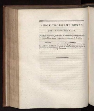 VINGT-TROISIÉME GENRE