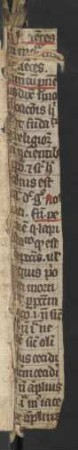 Fragment: Decretum Gratiani (14. Jh., Falzverstärkung, s. auch hinten)