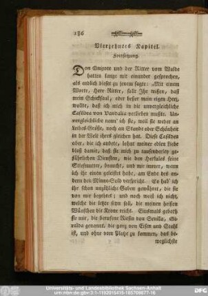 Vierzehntes Kapitel. Fortsetzung.