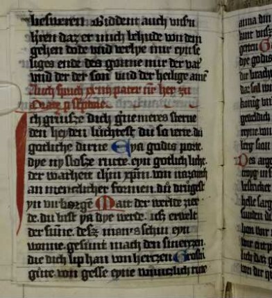Ave praeclara maris stella (dt.)