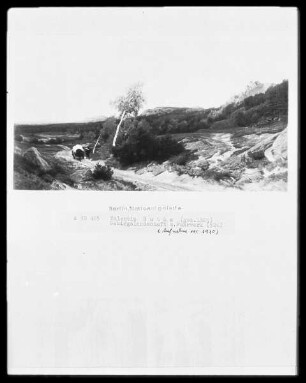 Abenddämmerung (Harzlandschaft)