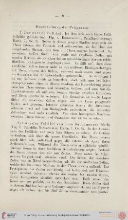 Beschreibung der Präparate