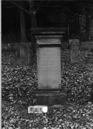 Grabstein 231
